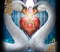 Conselho do Tarô – Video